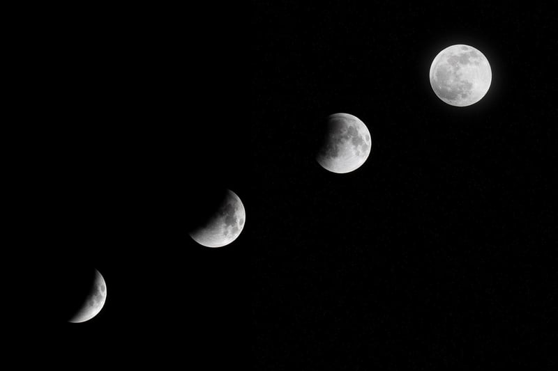 Moonlit Silhouettes